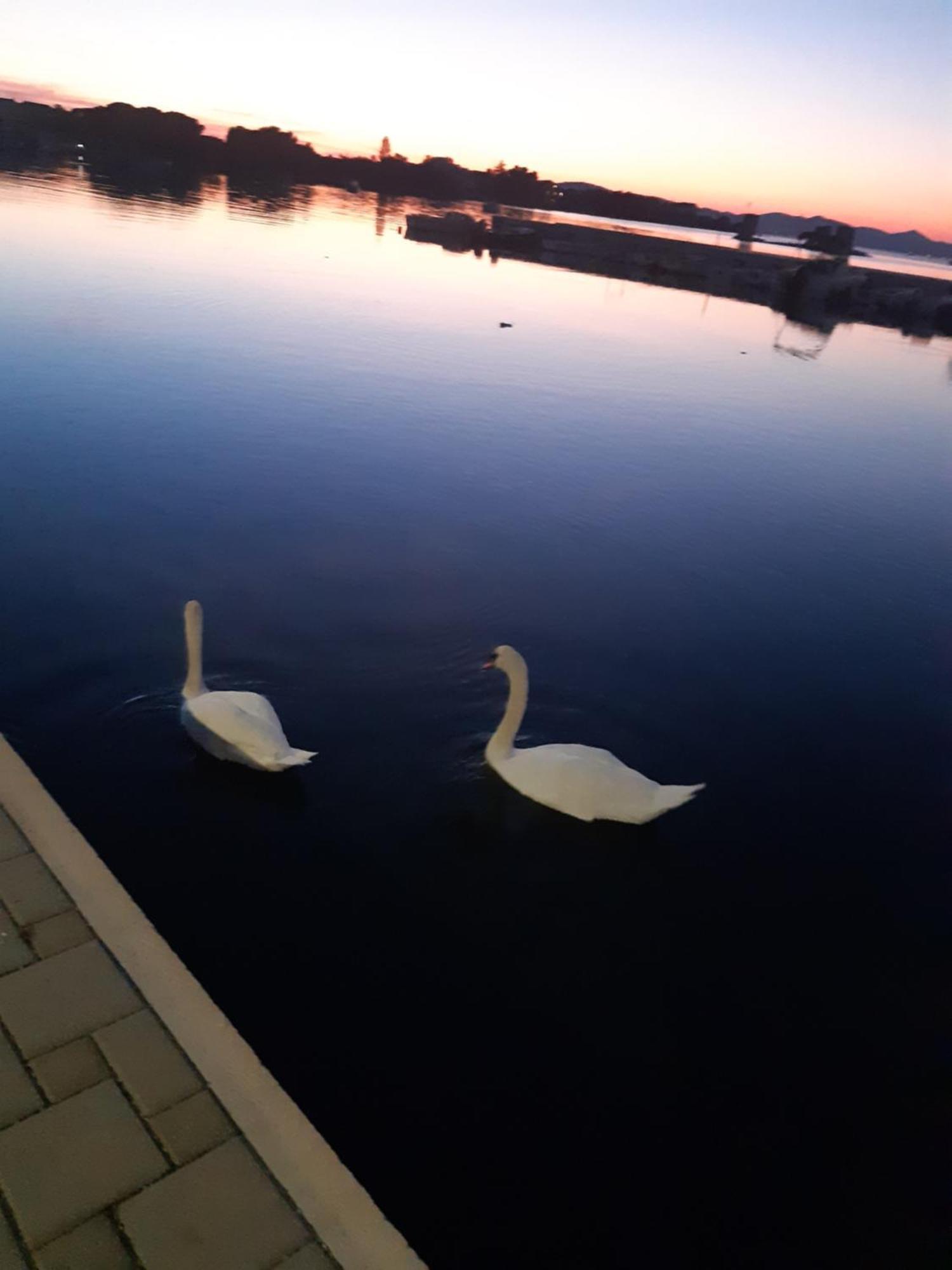 Apartman Barbir Sukosan Bagian luar foto
